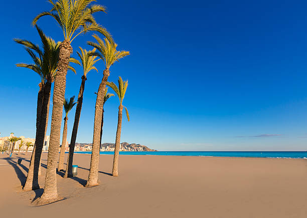 istock Benidorm Alicante playa de Poniente beach in Spain 538301611