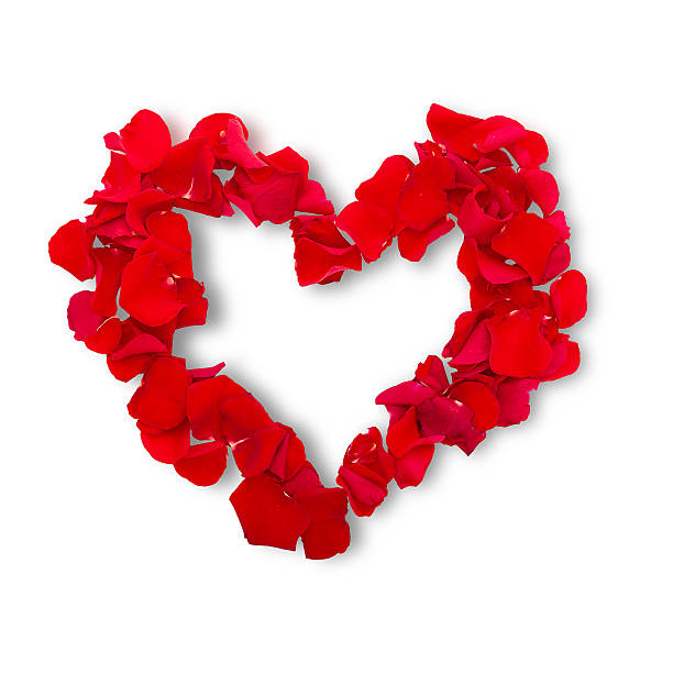 istock Rose petals in heart shape. Valentine greeting card, wedding 538302233