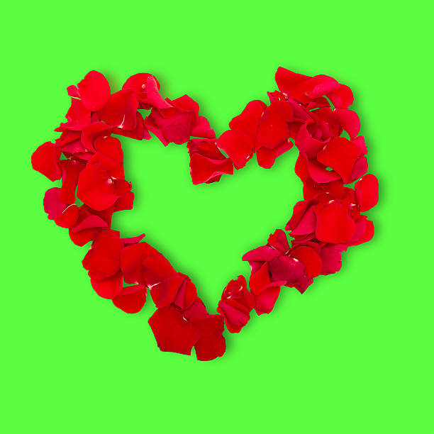 istock Rose petals in heart shape. Valentine greeting card, wedding 538302235