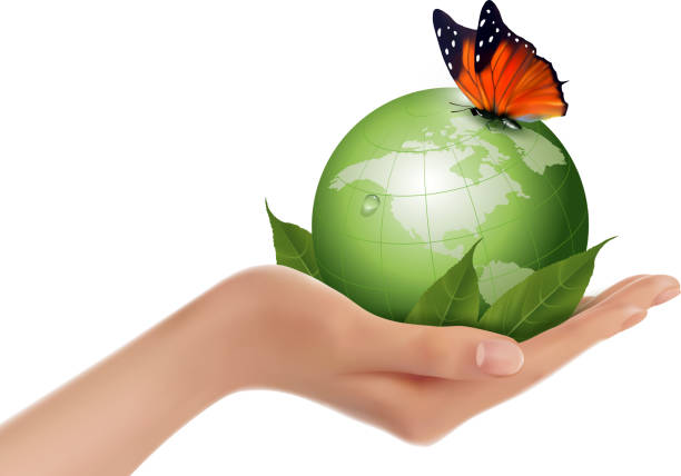 istock Green world with leaf and butterfly in woman hand. 538304145