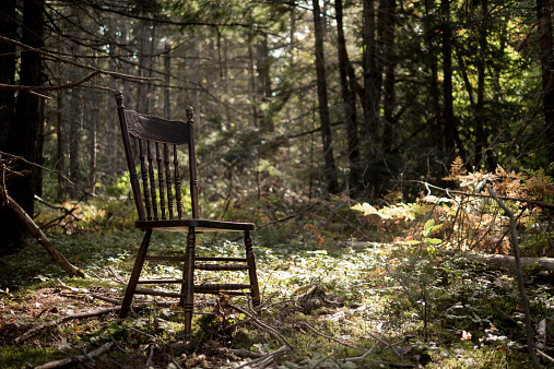 An ornate antique chair sits empty, deep in the forest, bathed in sunbeams