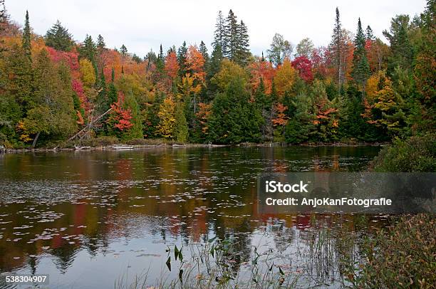 Indian Summer At Canoe Stock Photo - Download Image Now - 2015, Algonquin Provincial Park, Autumn