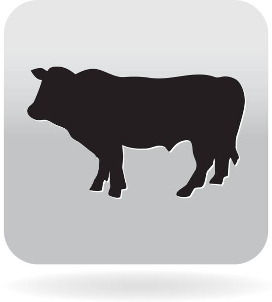 royalty free sterowania rzeźnik grilla wołowiny ikony na szaro - beef cow cattle bull stock illustrations