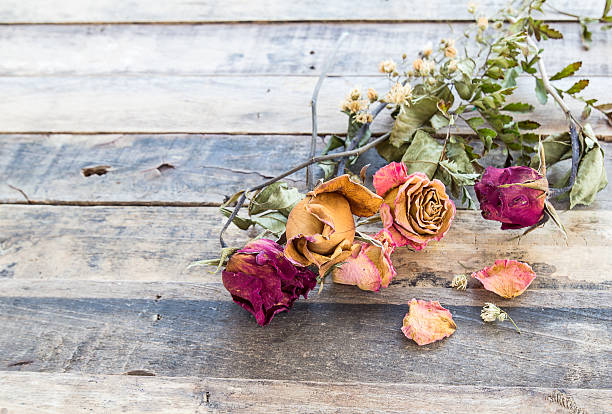istock dry rose on wooden background 538322257