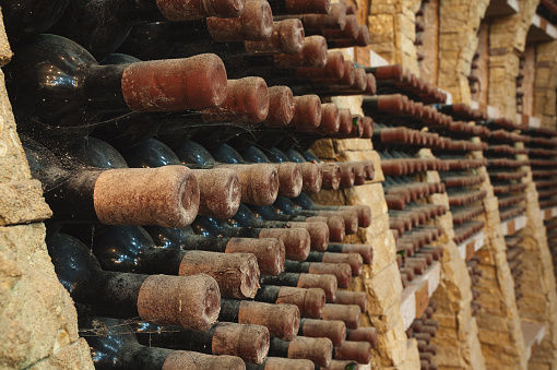 vineyard cellar with old bottles. Wine bottles from cellar