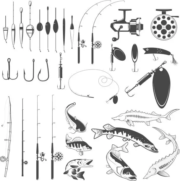 Vector illustration of Set of fishing tools, river fish icons, equipment for fishing.