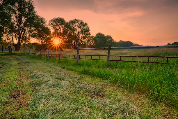 istock Rural view of the sunrise. 538322946