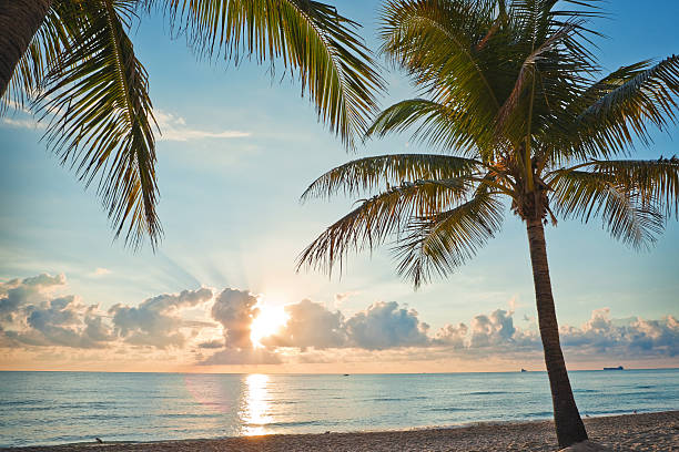 A beautiful morning in Ft Lauderdale Beach in Florida, USA.