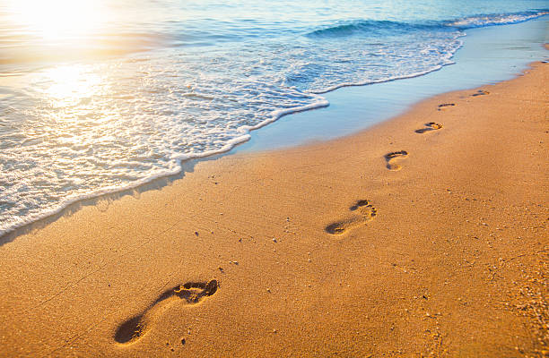 59,700+ Footprints In Sand Stock Photos, Pictures & Royalty-Free Images -  iStock | Footprints in sand vector, Footprints in sand beach, Childs  footprints in sand