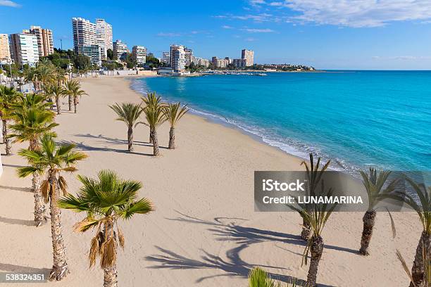 Alicante San Juan Beach Of La Albufereta With Palms Trees Stock Photo - Download Image Now