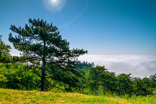 山岳 - screes ストックフォトと画像