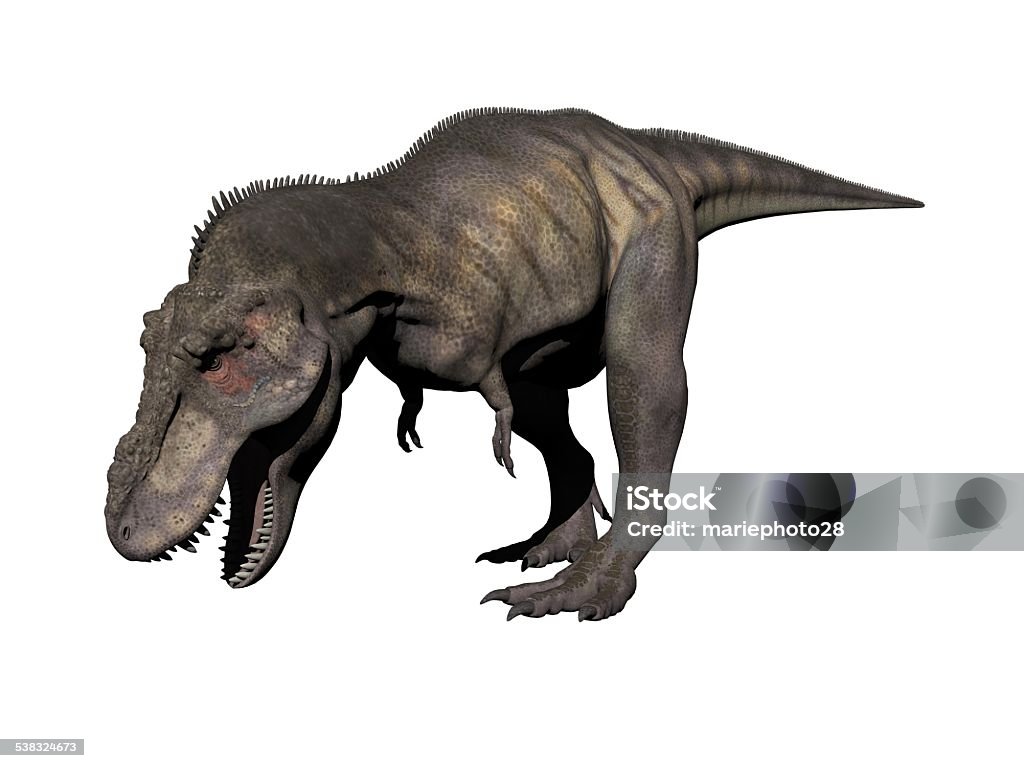 tyrannosaurus dinosaur - 3d render tyrannosaurus dinosaur in white background - 3d render 2015 Stock Photo