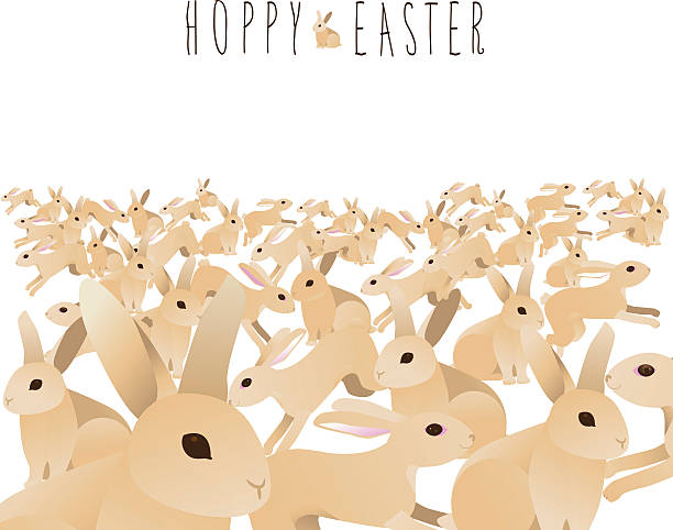 Easter Toopy 150+ Hoppy Easter Stock Photos, Pictures & Royalty-Free Images - iStock