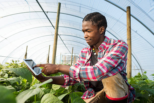 Young African man kneeling and pointing to tablet An surface level image of a young African Xhosa Male in his greenhouse vegetable garden, sits on his haunches while referencing information on his tablet. community garden sign stock pictures, royalty-free photos & images