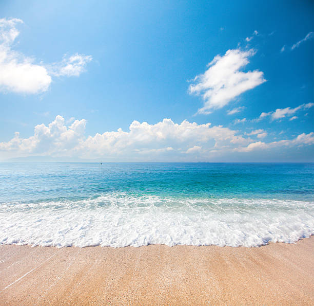 istock beach and tropical sea 538326212