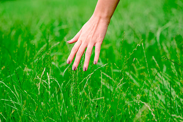 istock Woman's hand touching the grass, 'feeling nature' 538326798