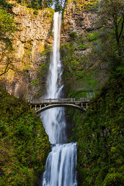 Scenic Multnomah Falls in Oregon