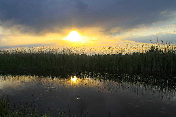istock Beautiful sunset over calm lake 538333992
