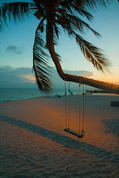 istock landscape of little tropical island, white beach with nice swing 538334502