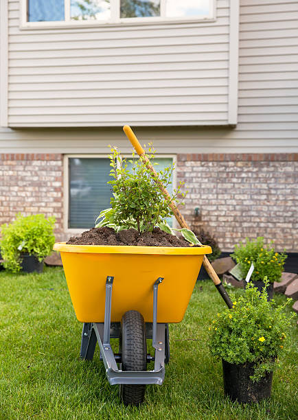 istock Landscaping Project in Front of House 538335656