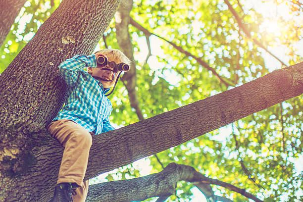 маленький мальчик на дерево - little boys discovery binoculars child стоковые фото и изображения