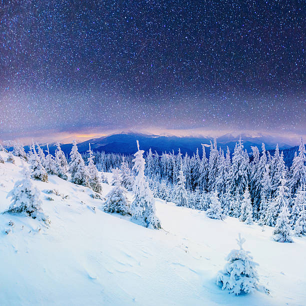 istock Dairy Star Trek in the winter woods 538336741