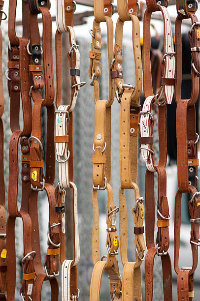 istock Pet collar leash hanging at the flea market 538339461