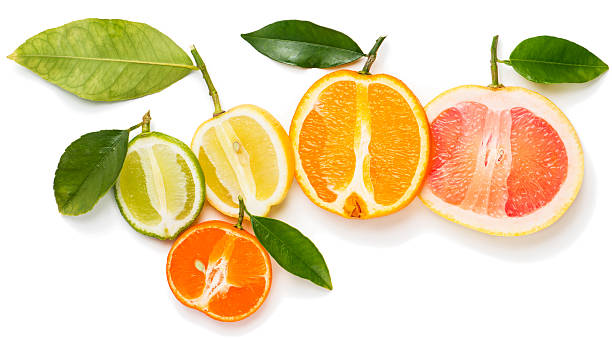 istock Halves of citrus fruits. 538343666