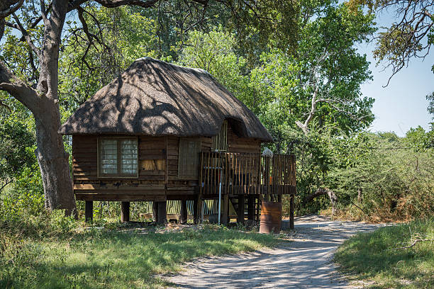 istock Wooden cottage on stilts with thatched roof 538346360