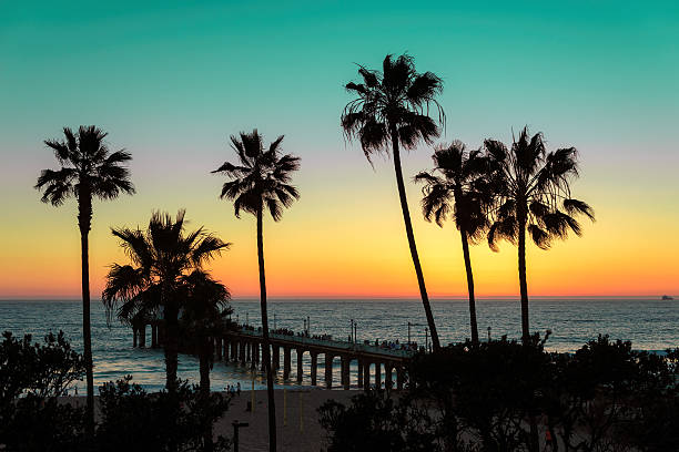 istock Sunset at California beach. Vintage processed. 538348484