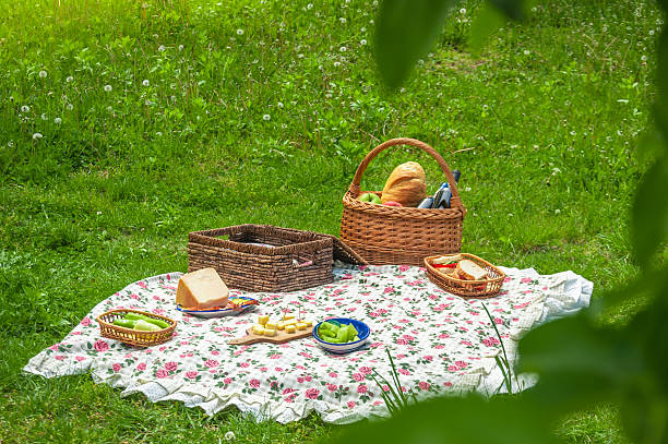 piknik scena - ornamental garden wicker flower bed formal garden zdjęcia i obrazy z banku zdjęć