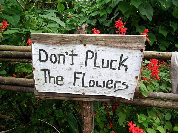 istock 'Don't Pluck The Flowers' signboard 538351316
