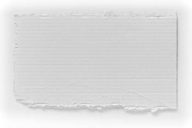 istock Piece of white cardboard tear texture 538352790