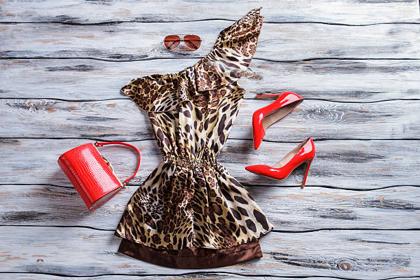 istock Leopard dress and red heels. 538353192