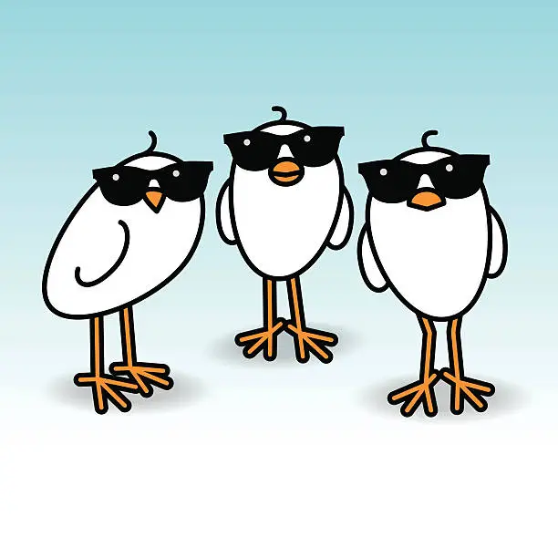 Vector illustration of Three Staring White Chicks Wearing Sunglasses