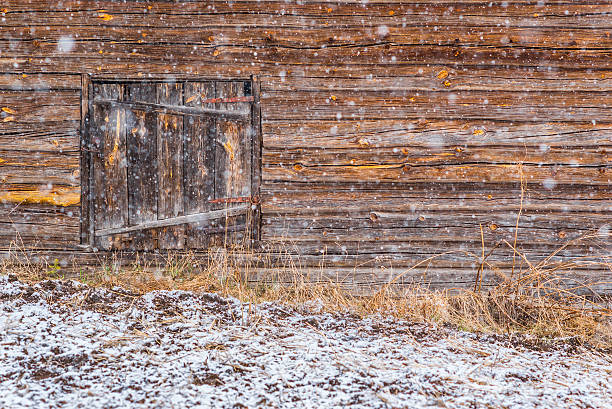 istock Snowfall and wooden wall 538354450