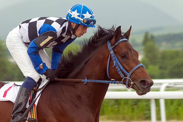 el ganador. - traditional sport fotografías e imágenes de stock