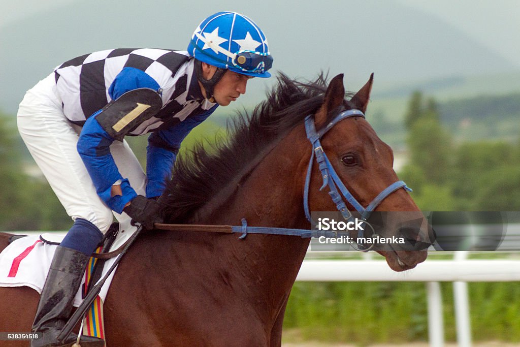 The winner. Race for the prize of the Summer in Pyatigorsk,Northern Caucasus. Horse Racing Stock Photo