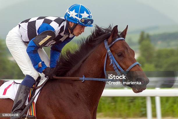 The Winner Stock Photo - Download Image Now - Horse Racing, Jockey, Racehorse