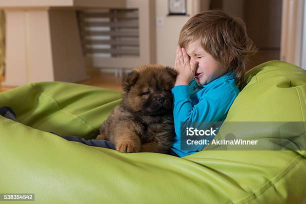 Allergic Little Boy And Puppy Relaxing On Bean Bag Stock Photo - Download Image Now