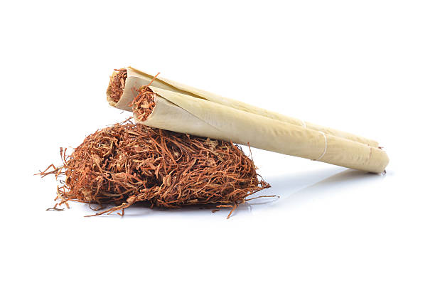 istock Tobacco leaves were dried 538355511
