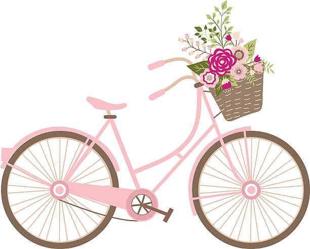 Wedding Bicycle with Flowers The vector for Wedding Bicycle with Flowers laurel maryland stock illustrations