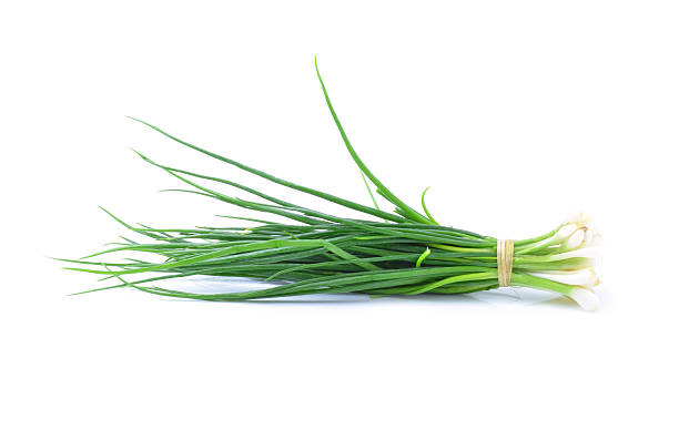 istock green onions on a white background 538356251