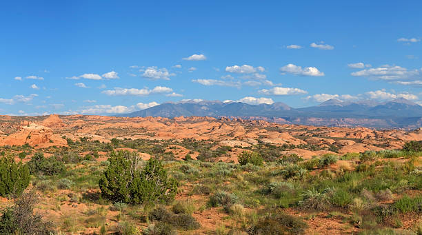istock Petrified Dunes, Arches National Park 538359357
