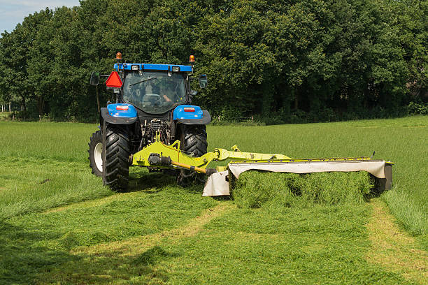 пастбище косить с синим трактором и косилкой - silage field hay cultivated land стоковые фото и изображения