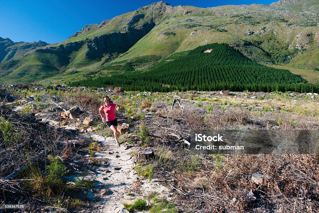 Keep To The Track Fit female athlete enjoying trail running in the morning. 2015 Stock Photo