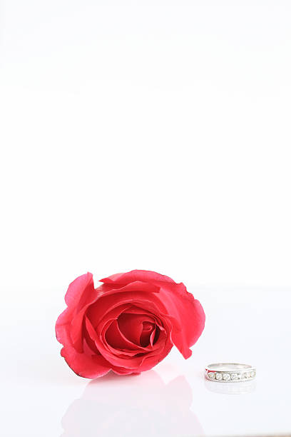 rosa vermelha com anel - couple gold pair vertical - fotografias e filmes do acervo