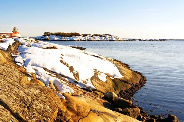 istock Rounded rocky shore,covered  brown algae at low tide sea 538369869