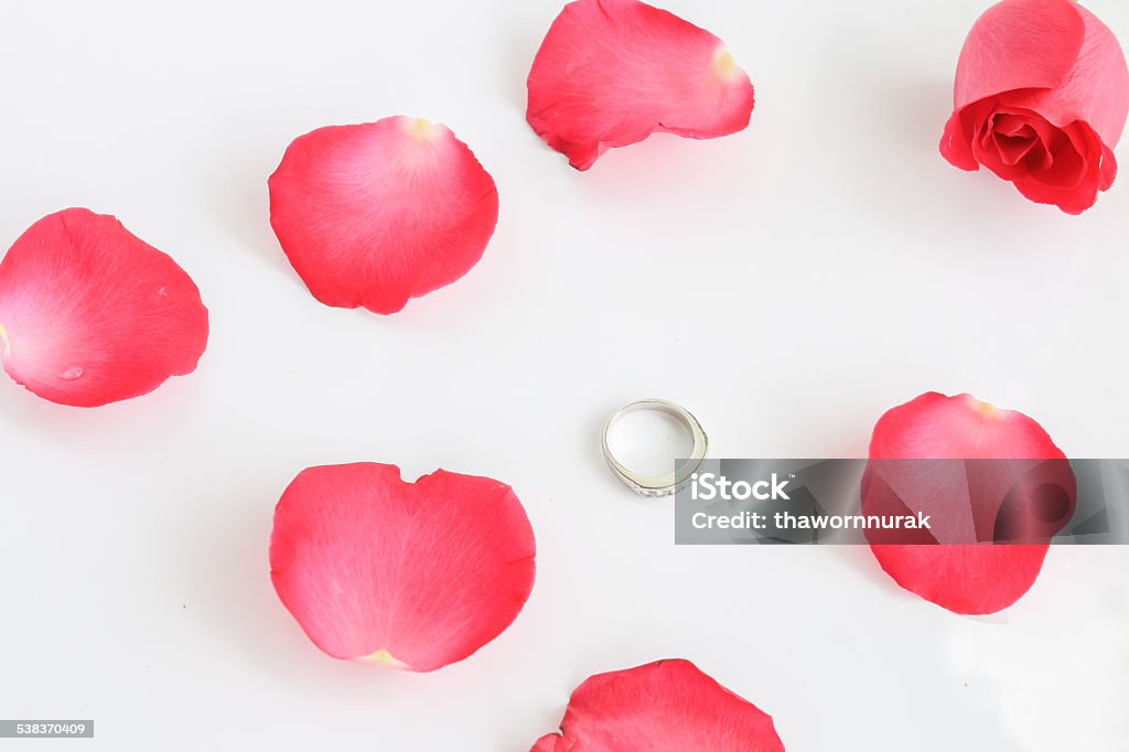 Red rose with ring Red rose with ring on white background (Valentine concept) 2015 Stock Photo