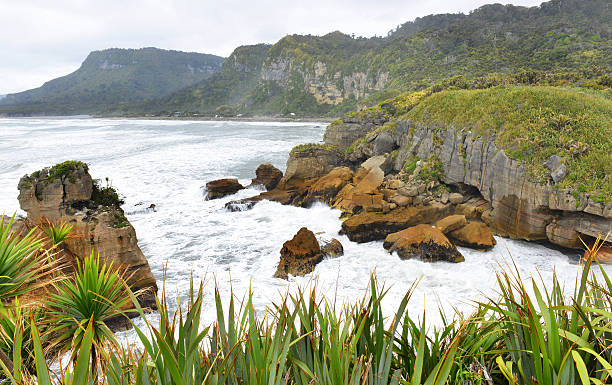 istock Pancake rocks near Punakaiki 538370693